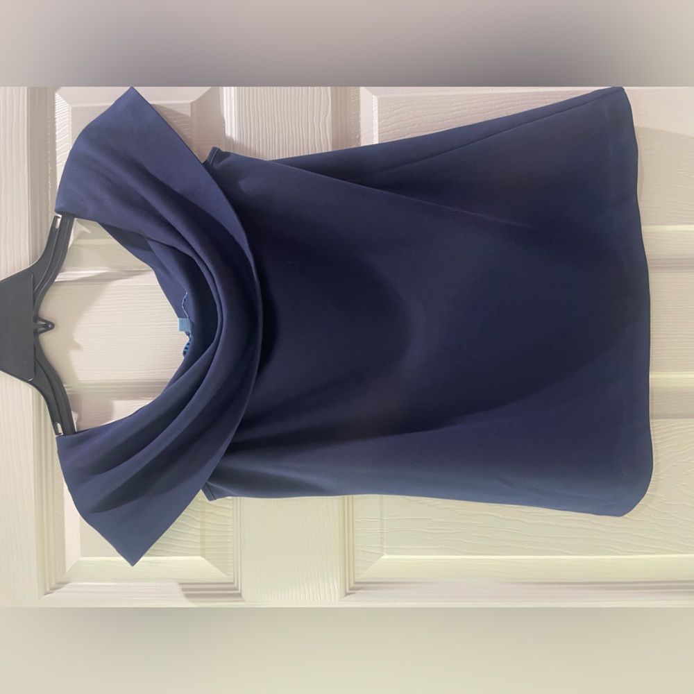 Antonio Melani blouse pairs nicely with skirt listed in closet as well